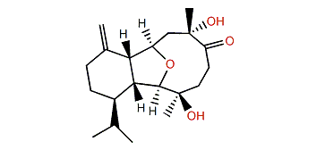 Klymollin Y